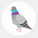 Search for pigeon stickers Animals