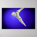 Search for ankle posters Anatomy