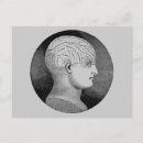 Search for phrenology postcards Human