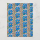 Search for flower petals postcards Pretty
