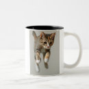 Search for calico cat coffee mugs Animals