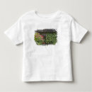 Search for limerick tshirts Irish