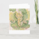 Search for grapevine cards Wine