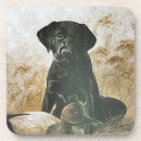Search for duck hunting barware Dog