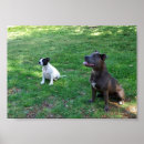 Search for attentive posters Dog