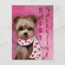 Search for yorkie lover postcards Yorkies