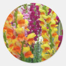 Search for snapdragons stickers Nature