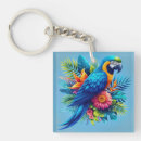 Search for macaw key rings Nature