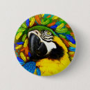 Search for blue macaw badges Animal
