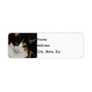 Search for vet return address labels Cat