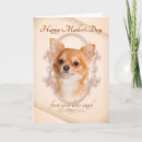Search for chihuahua mothers day cards Funny