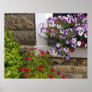 Search for cottage posters Rustic