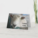 Search for ewes cards Lamb