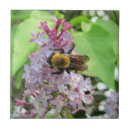 Search for bumble bee tiles Flower