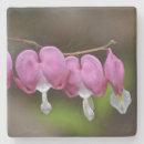 Search for bleeding hearts barware For her