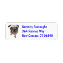 Search for rescue dog return address labels Puppy