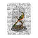 Search for antique rectangular magnets Bird