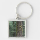 Search for sequoia key rings National park