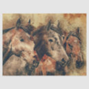 Search for wild horse tissue paper Horses