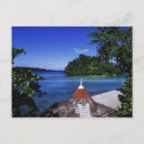 Search for greg johnston Caribbean sea