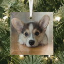 Search for corgi christmas tree decorations Pet