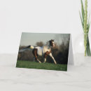 Search for bob cards Sunset