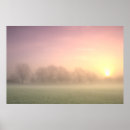 Search for misty trees posters Sunrise