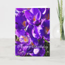 Search for crocus cards Nature
