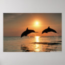 Search for mornings posters Happy