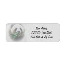 Search for panda return address labels Animals