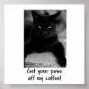 Search for kitty paw posters Pet