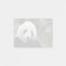 Search for panda post it notes Bear