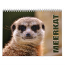 Search for meerkat calendars Nature