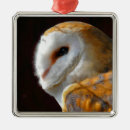 Search for barn owl christmas tree decorations Nature