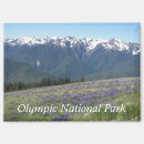 Search for meadow photography Mountains