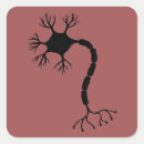 Search for neuron stickers Biology