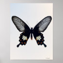 Search for black brown posters Cute