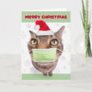 Search for funny tabby cat cards Cute