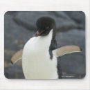 Search for antarctic electronics Outdoors