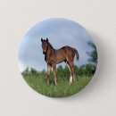 Search for thoroughbred badges Standing