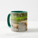 Search for elks mugs Forest