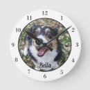 Search for pet photo clocks Cute