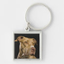 Search for pitbull key rings Pets