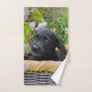 Search for black labradors bath towels Dog
