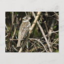 Search for gro postcards Nature
