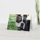 Search for closeness cards Pet