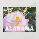 Search for camellia flower postcards Floral