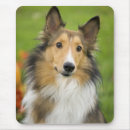 Search for rough standard mousepads Pet
