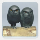 Search for owl eyes stickers Bird