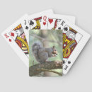 Search for squirrel playing cards Tree